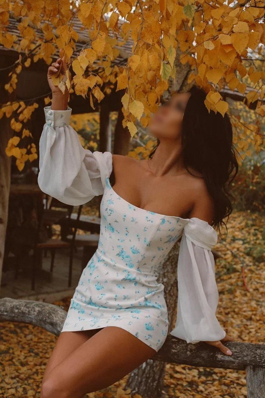 Индивидуалка СПб Лена +7(981)214-21-80 метро Площадь Восстания